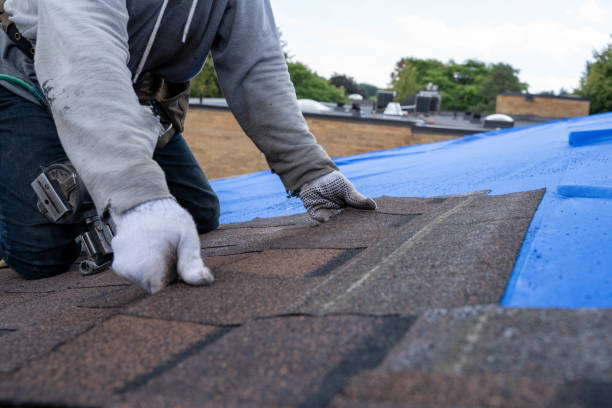 Best Metal Roofing Contractor  in North Miami, FL
