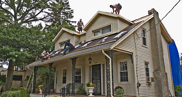 Best Roof Leak Repair  in North Miami, FL